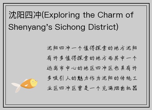 沈阳四冲(Exploring the Charm of Shenyang's Sichong District)